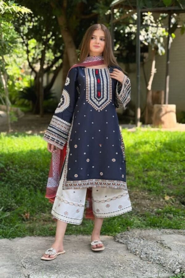 RR-610 Unstitched Dhanak Stuff Full Embroidered Suit With Printed Wool Shawl